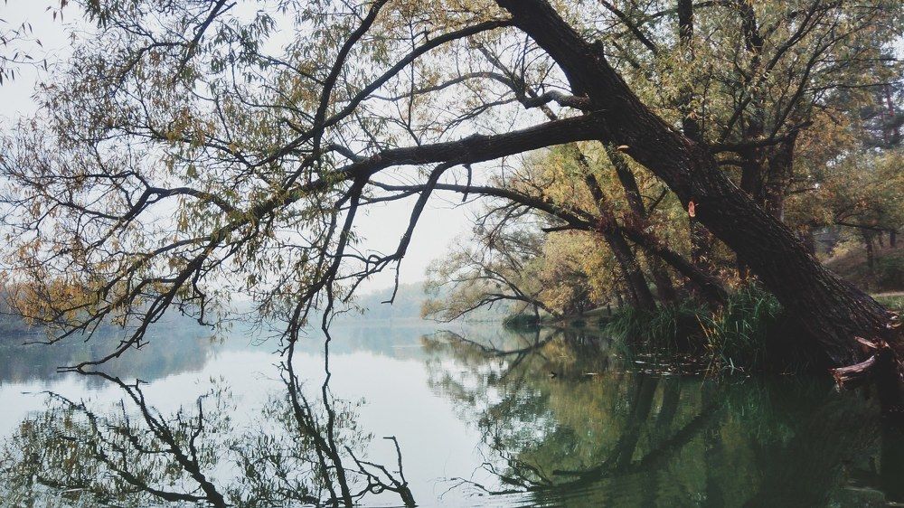 Photograph by Дарья Малашинская