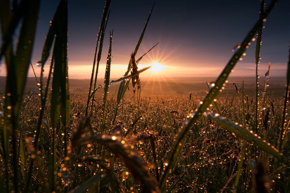 Photograph by Józef Tylka