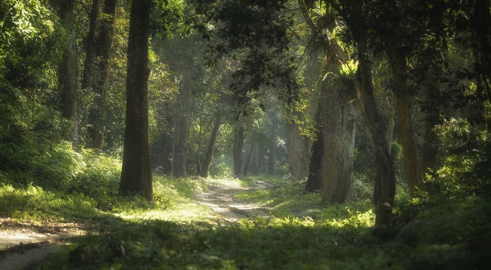 Photograph by Priyanka Das