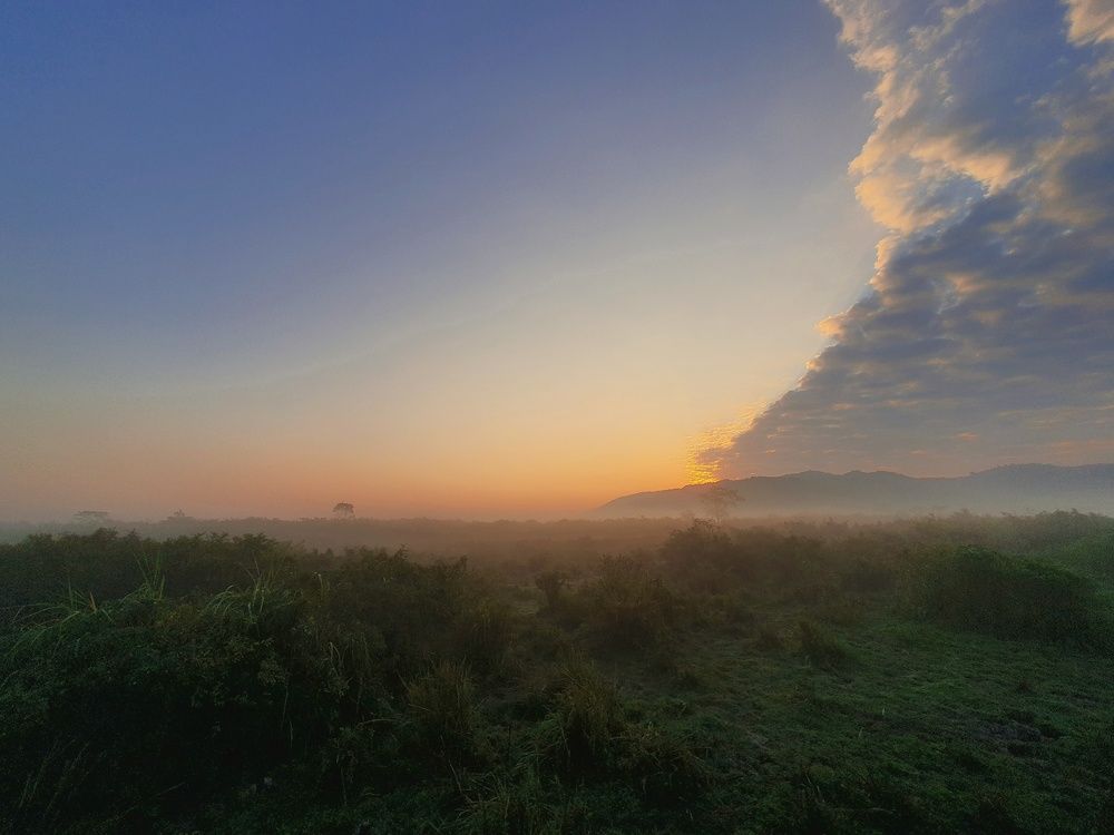 Photograph by Priyanka Das