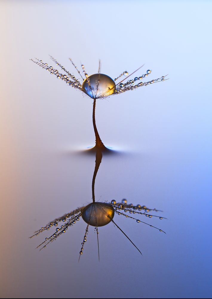 Фотография автора Илан Грабоис