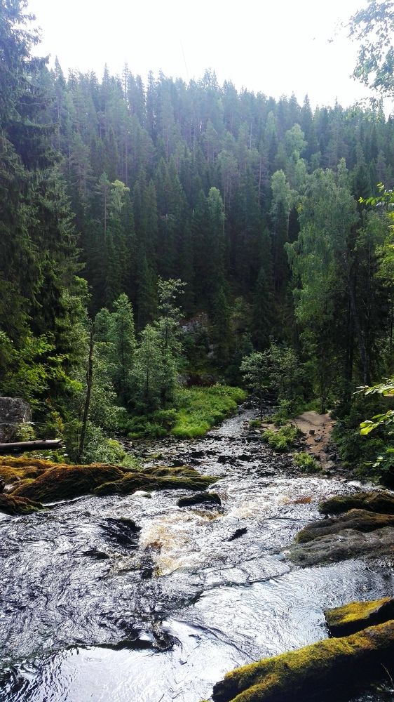 Photograph by Александра