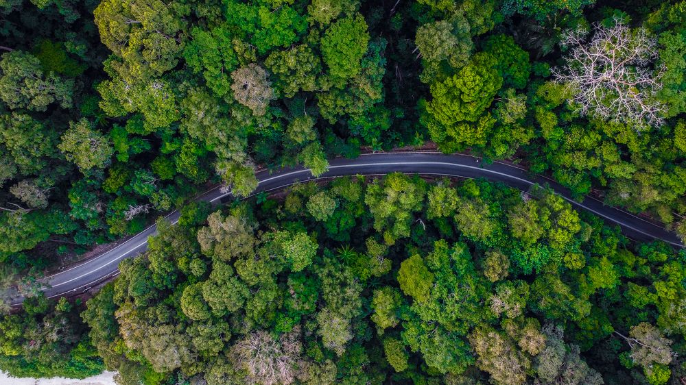 Photograph by  SIVABALAN