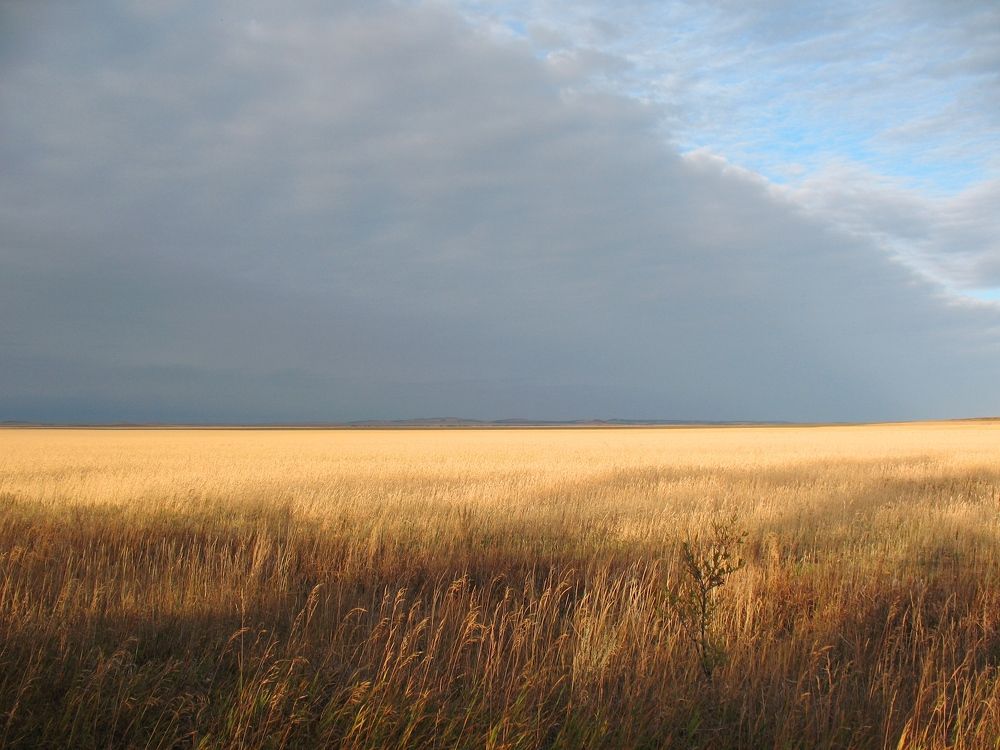 Photo #5678198