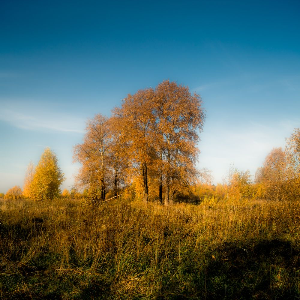 Фотография автора Панагушин Сергей