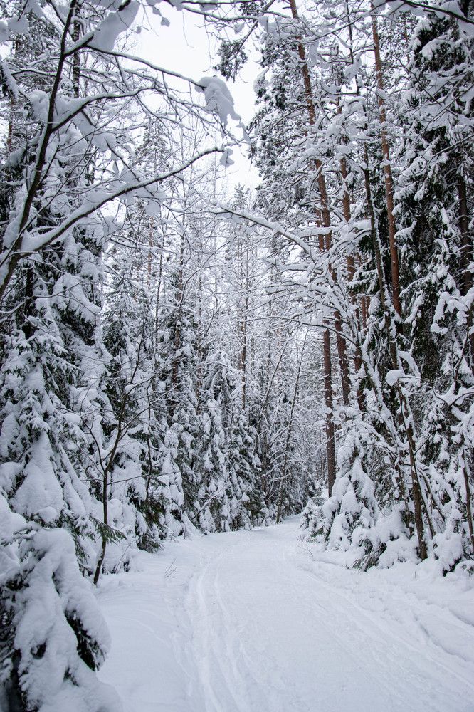 Photograph by Nora Cheprasova