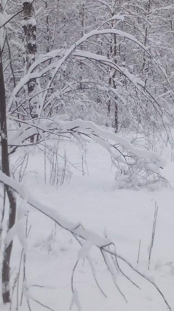 Photograph by Татьяна Лобойко