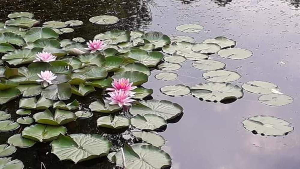 Photograph by Татьяна Лобойко