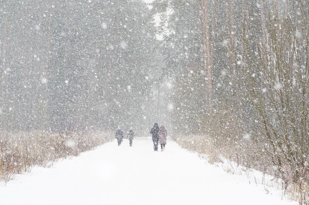 Photograph by Елена Никонова