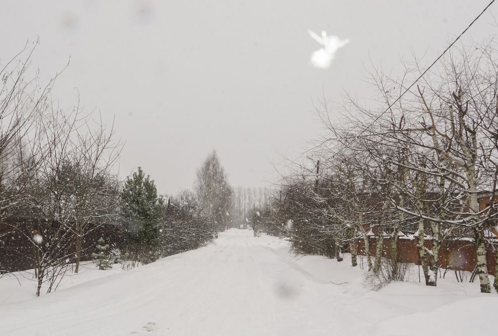 Photograph by Елена Никонова