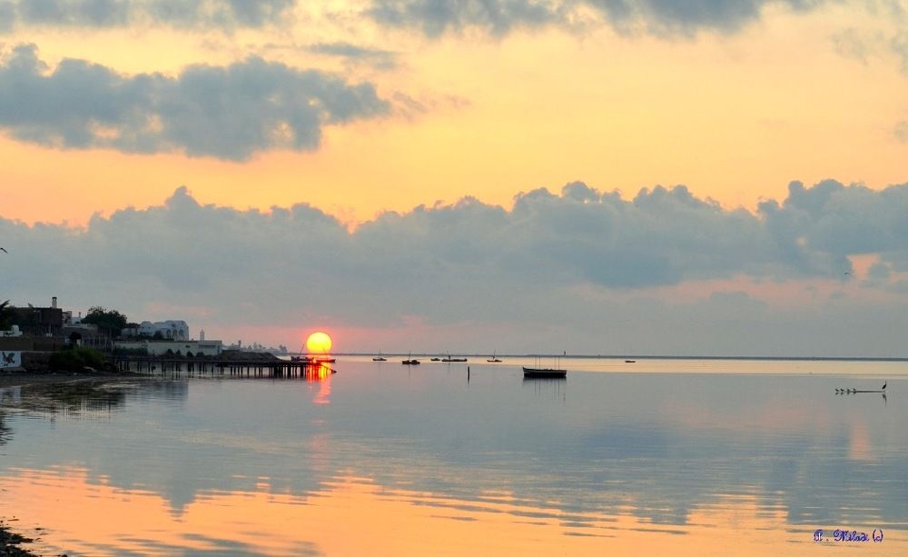 Photograph by Abderrazak MILADI
