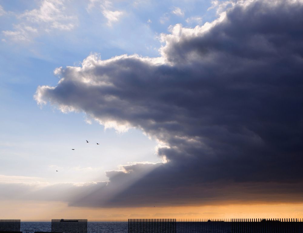 Photograph by Диана Арье