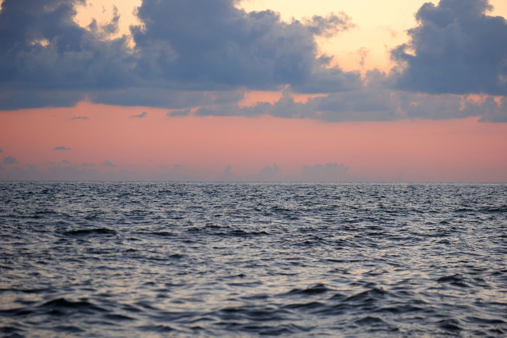 Photograph by Диана Арье