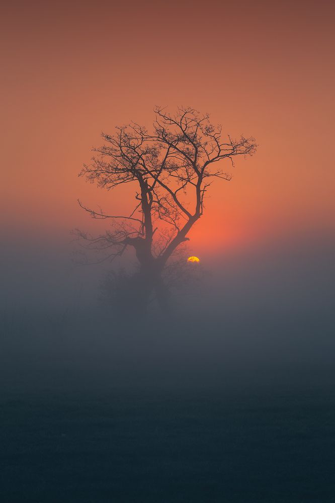 Photograph by MARCIN BAMBIT