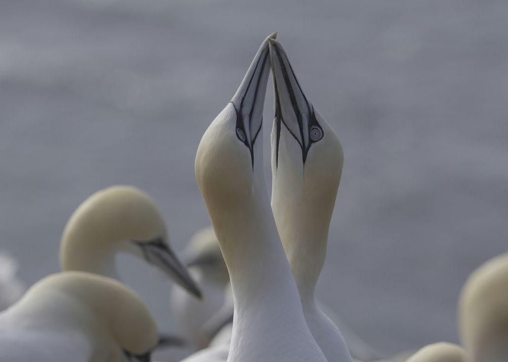 Photograph by Ernestas Balcikonis