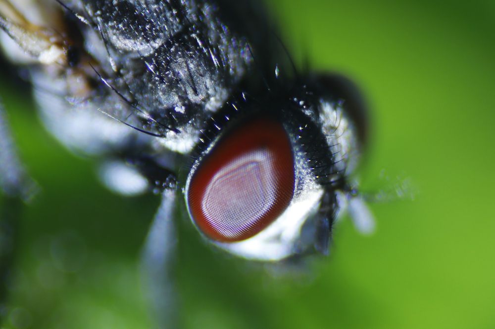 Photograph by Nilesh Mohite