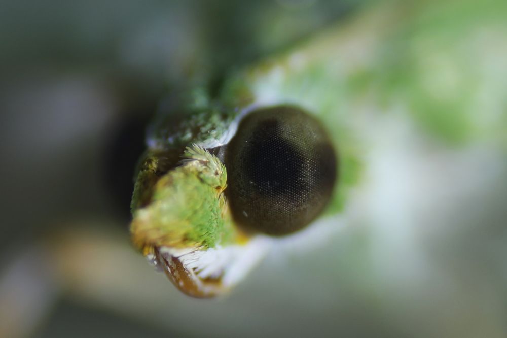 Photograph by Nilesh Mohite