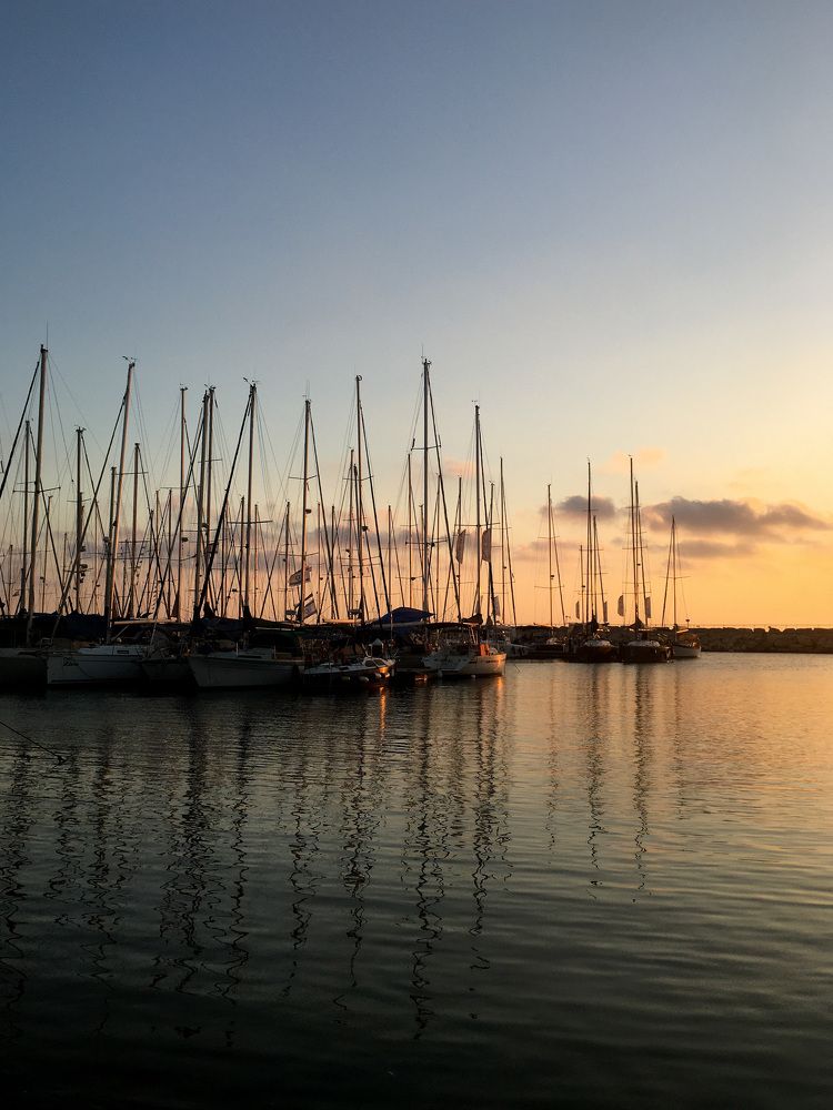 Photograph by Алина Чеснокова