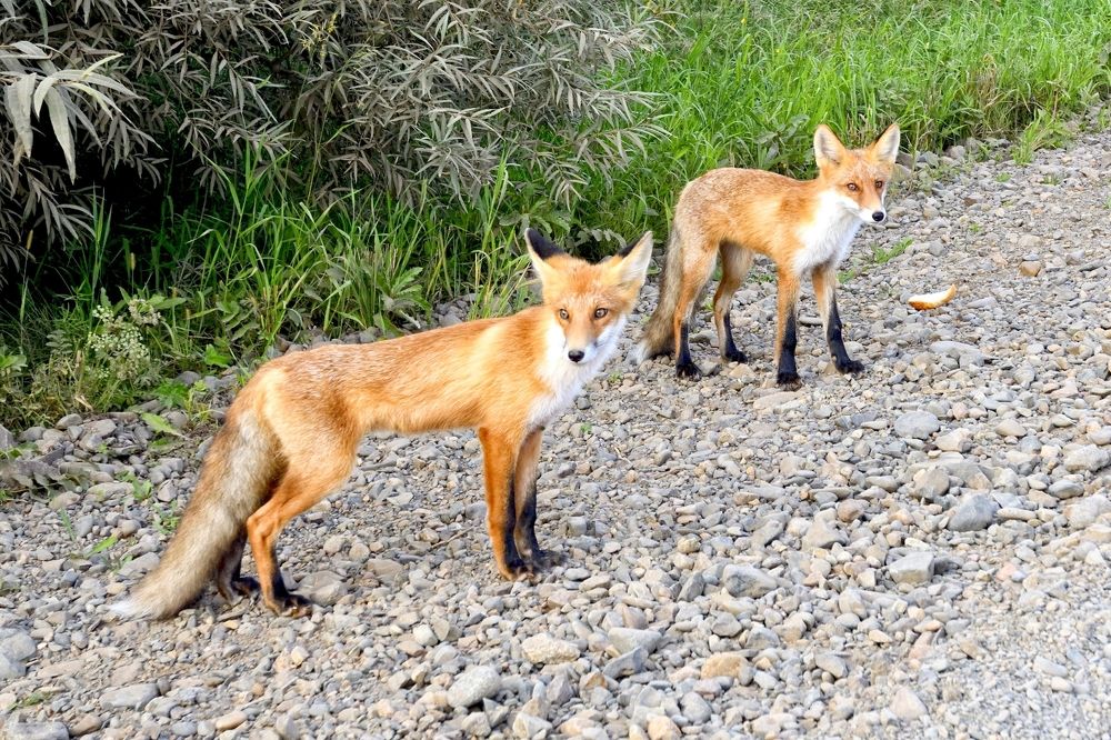 Photograph by Юрий Тимофеев