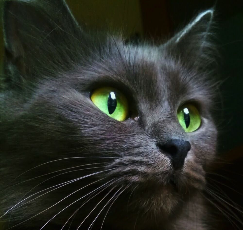 Photograph by Ольга Хромова