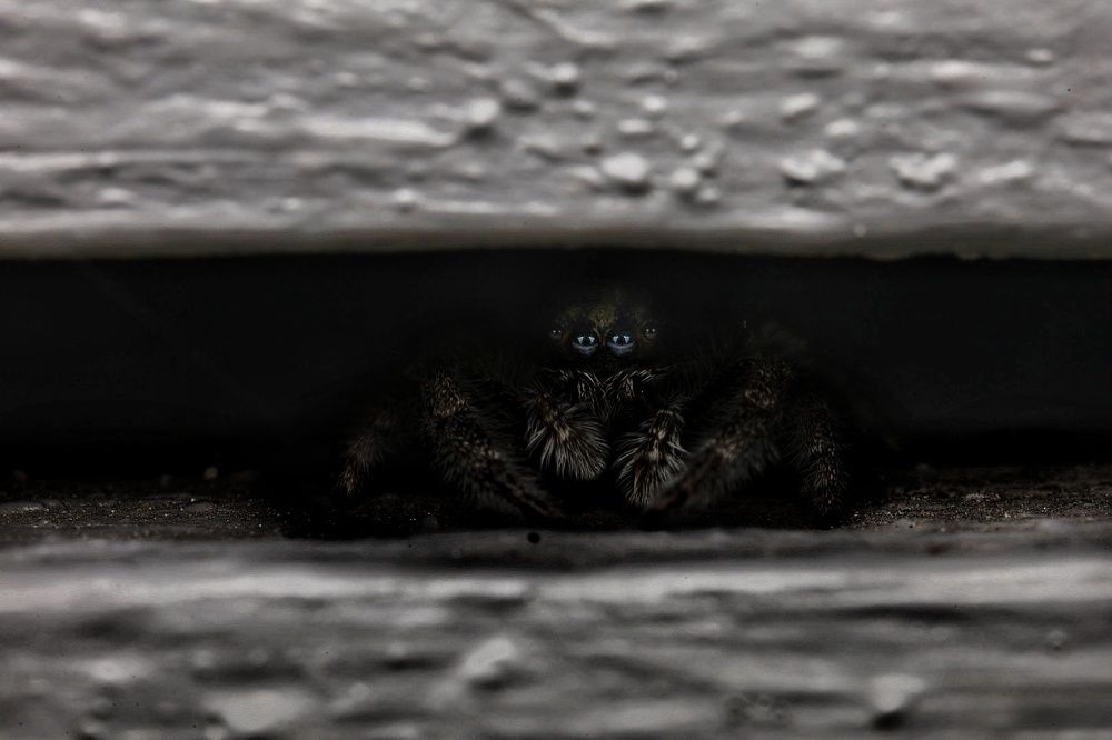 Photograph by Jason Walters