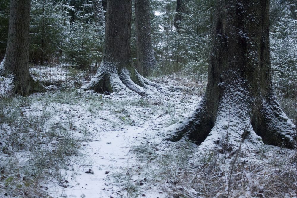 Фотография автора Александр Собокарь