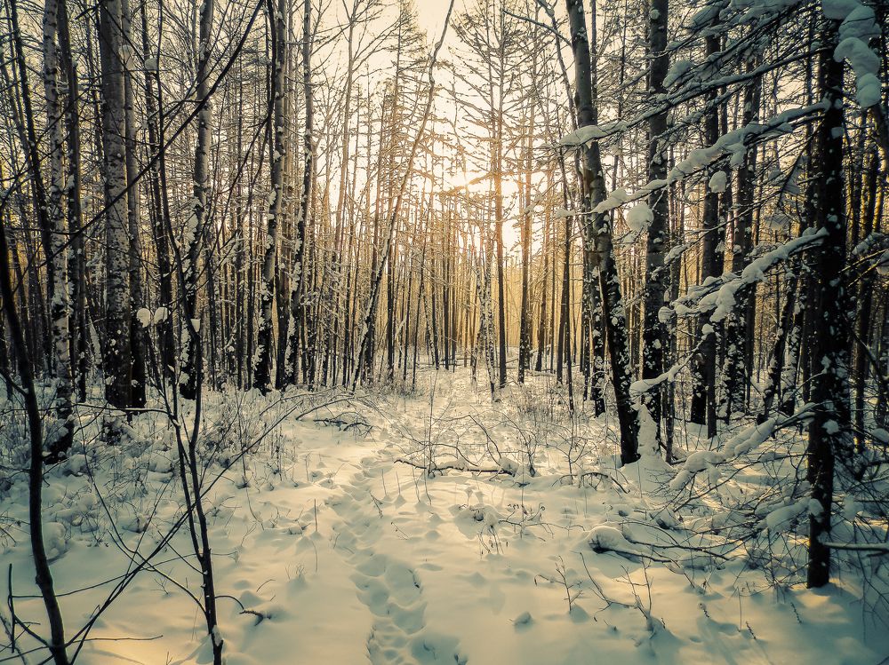 Photograph by Виктор Сёмушкин