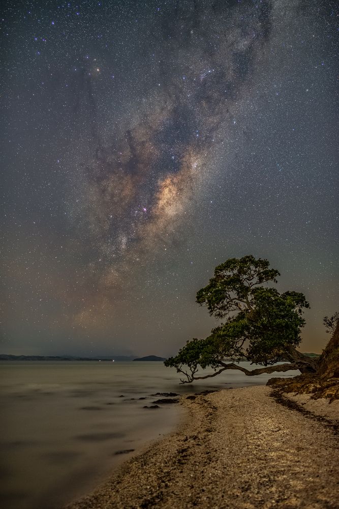 A Lone tree and Milky way