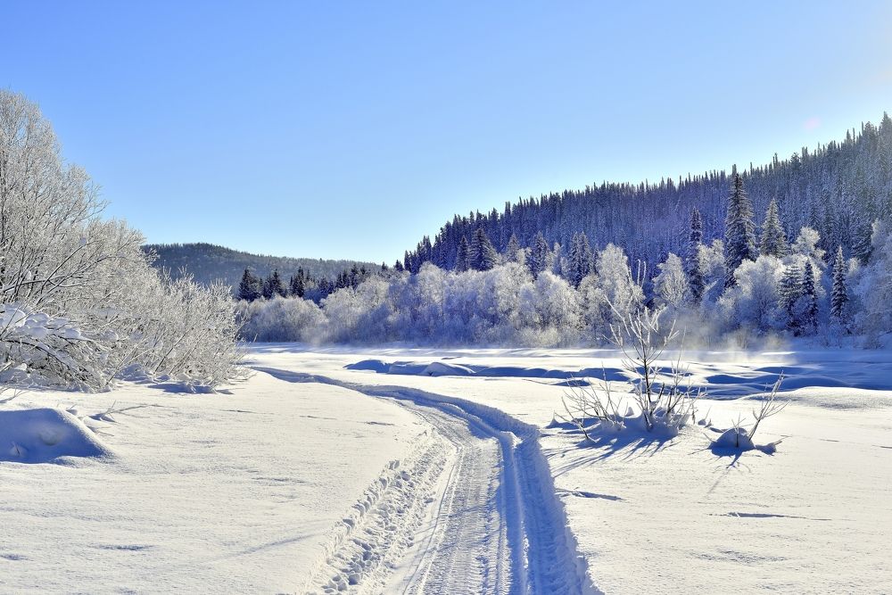 Photograph by Юрий Тимофеев