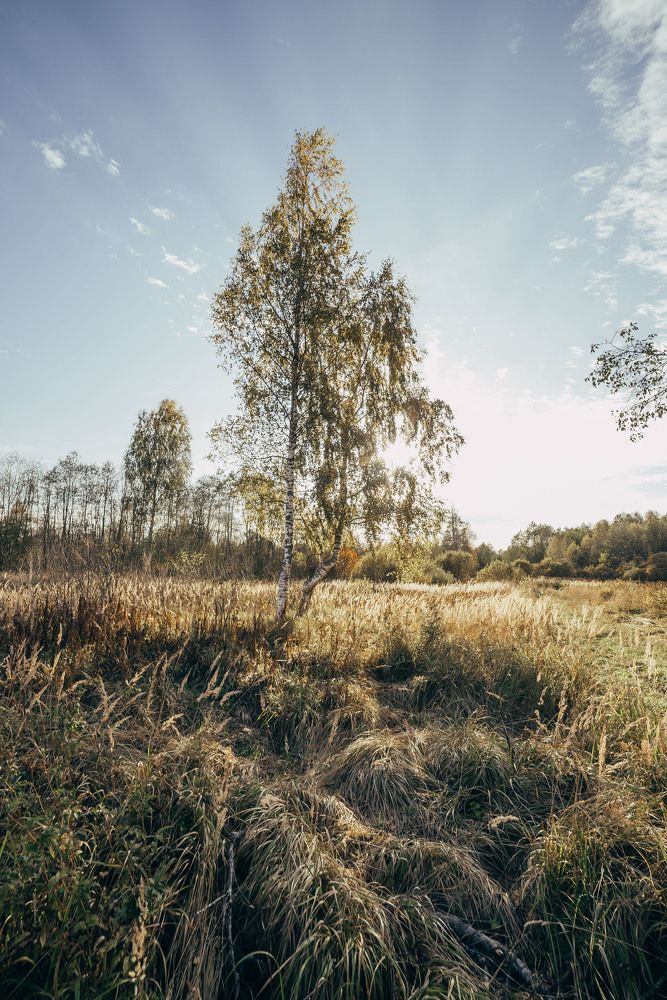 Photograph by Сергей