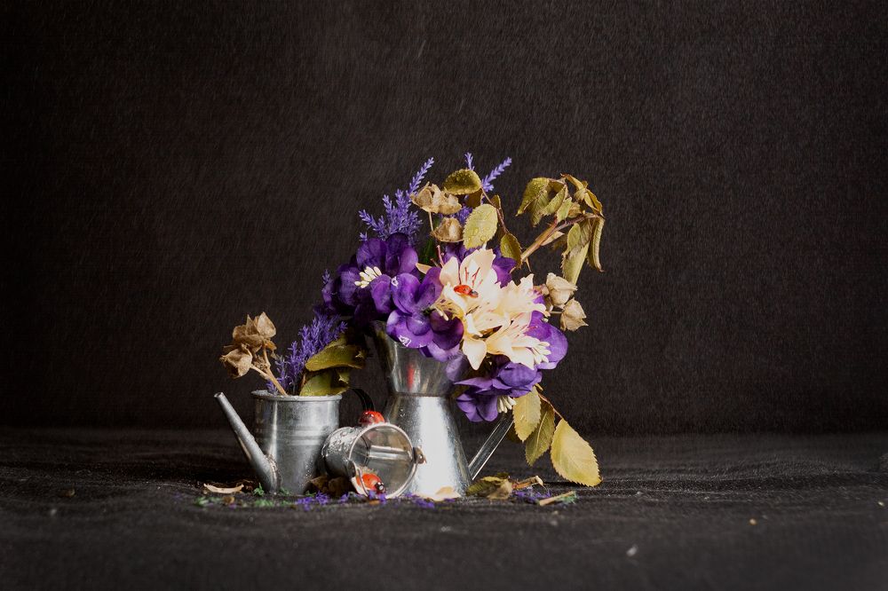 Photograph by Надежда Киселева