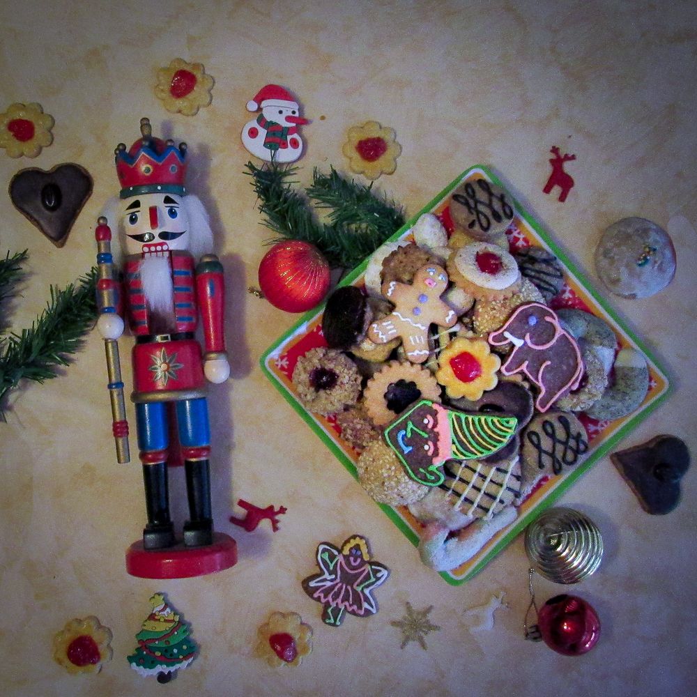 Фотография автора Paula Torrent