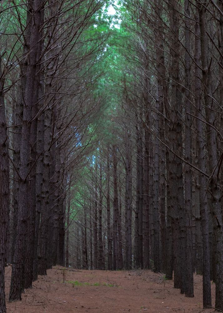 Photograph by Ruy Beck