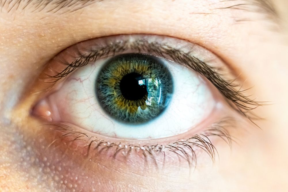 Photograph by Андрей Шишлов