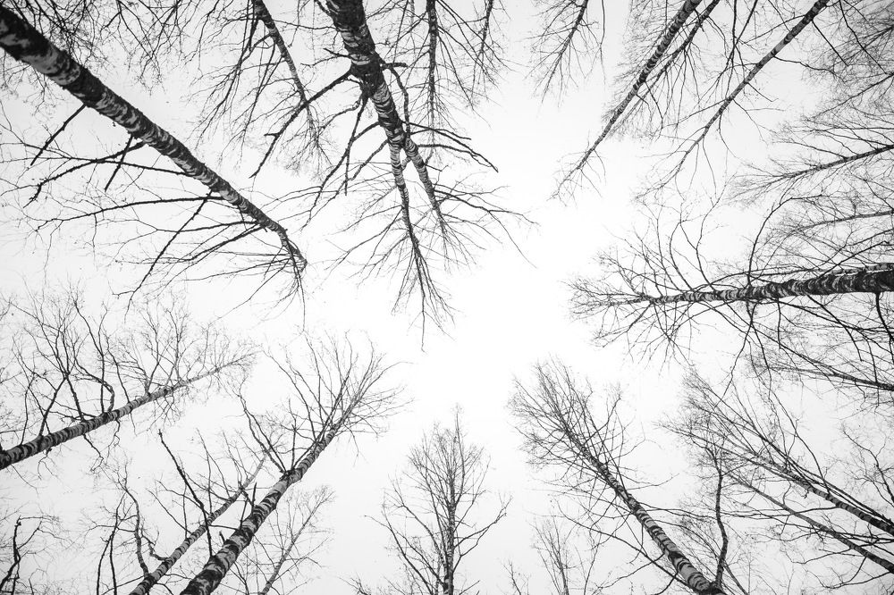 Photograph by Андрей Осипов