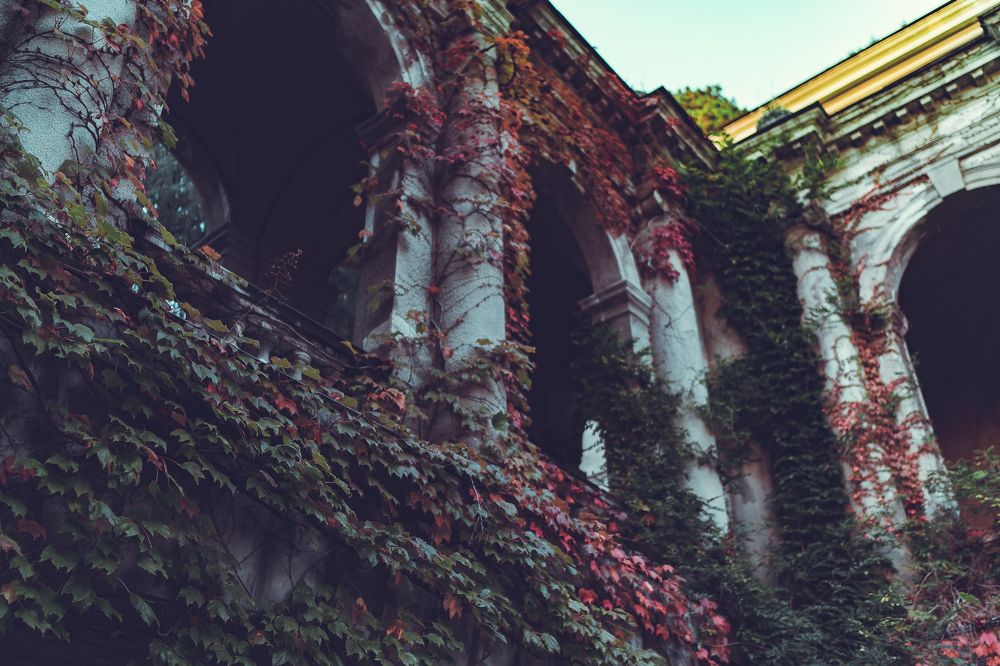 Photograph by Андрей Шишлов