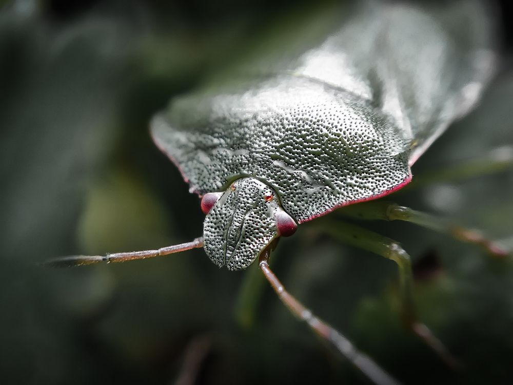 Photograph by Ekaterina Fadeeva