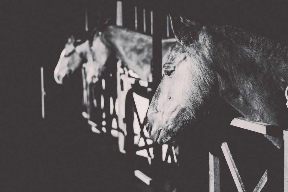 Photograph by Андрей Осипов