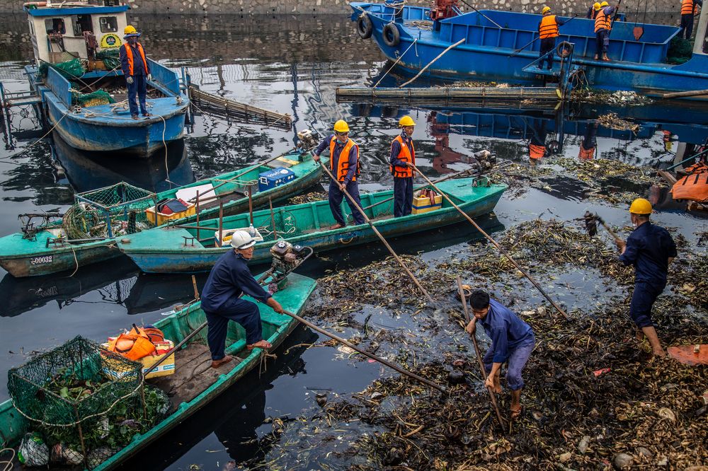Photograph by Dzintra Zvagina