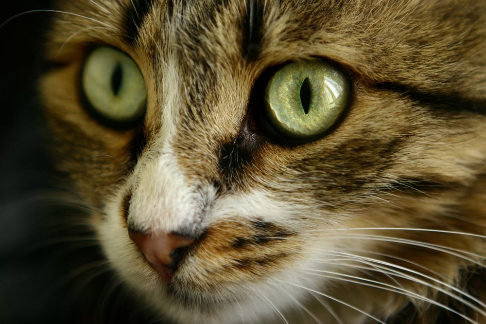 Photograph by Валерия Павличук