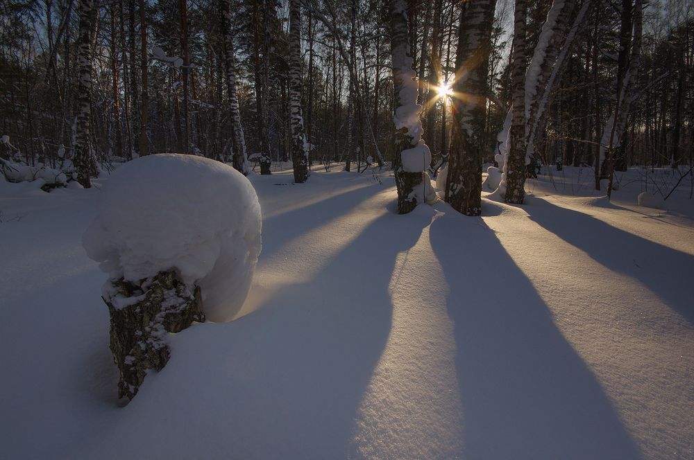 Photograph by Валерий Чичкин