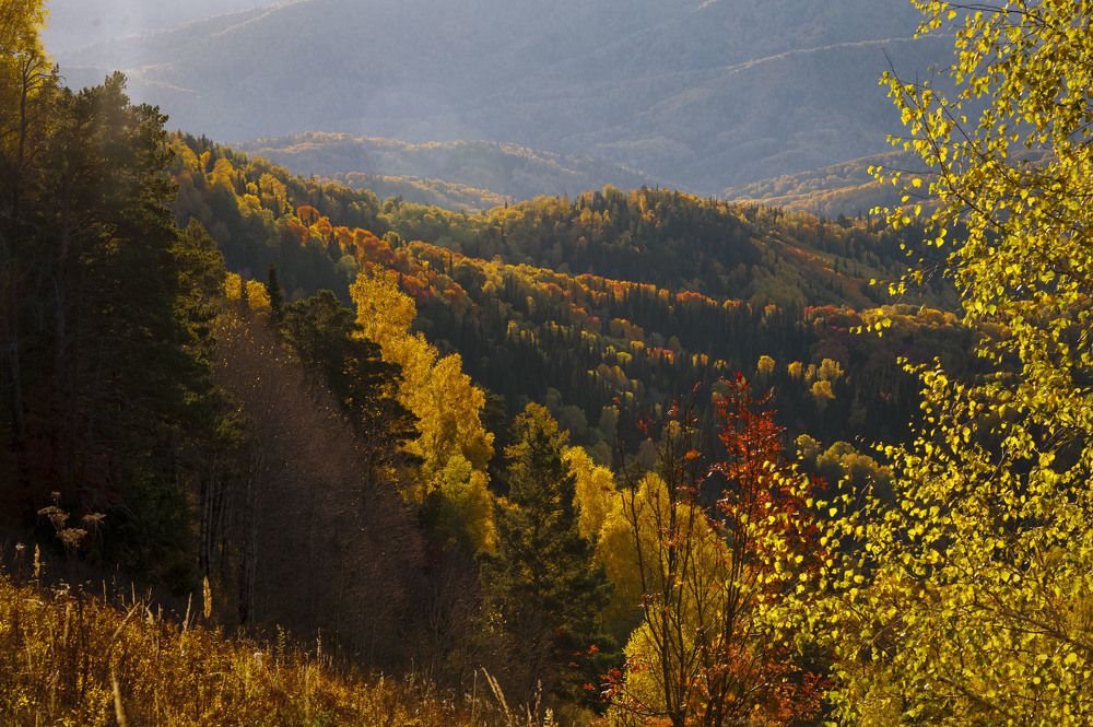 Осеннее утро....