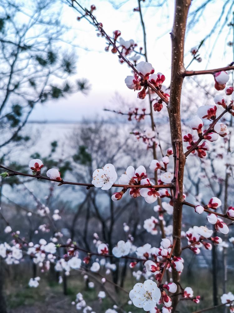 Photograph by Марина Суслова