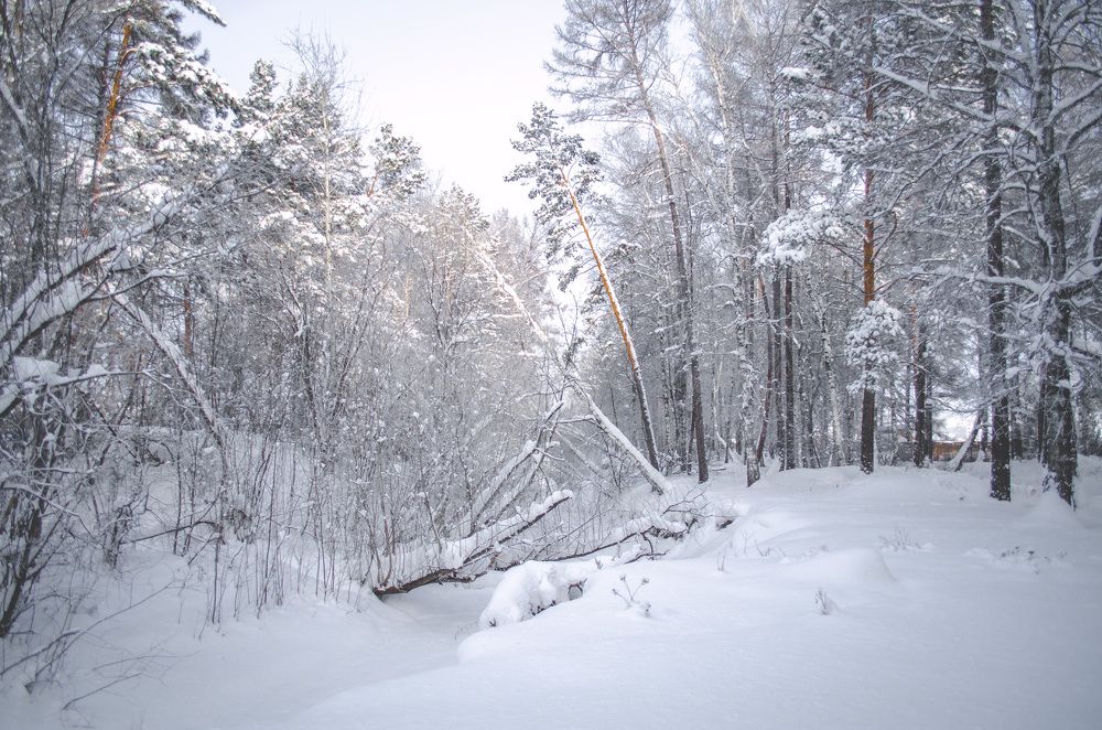 Photograph by Вадим Басов