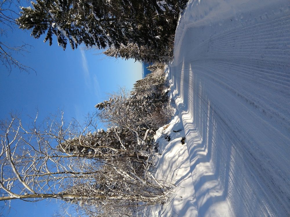 Photograph by Маргарита Венсил.