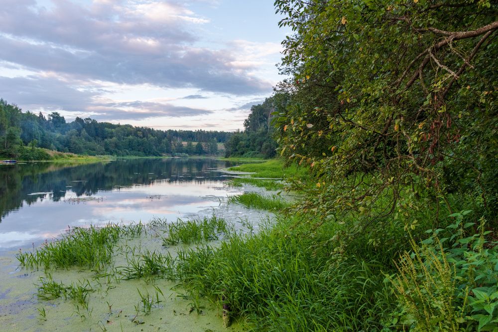 Photograph by Валерий Петухов