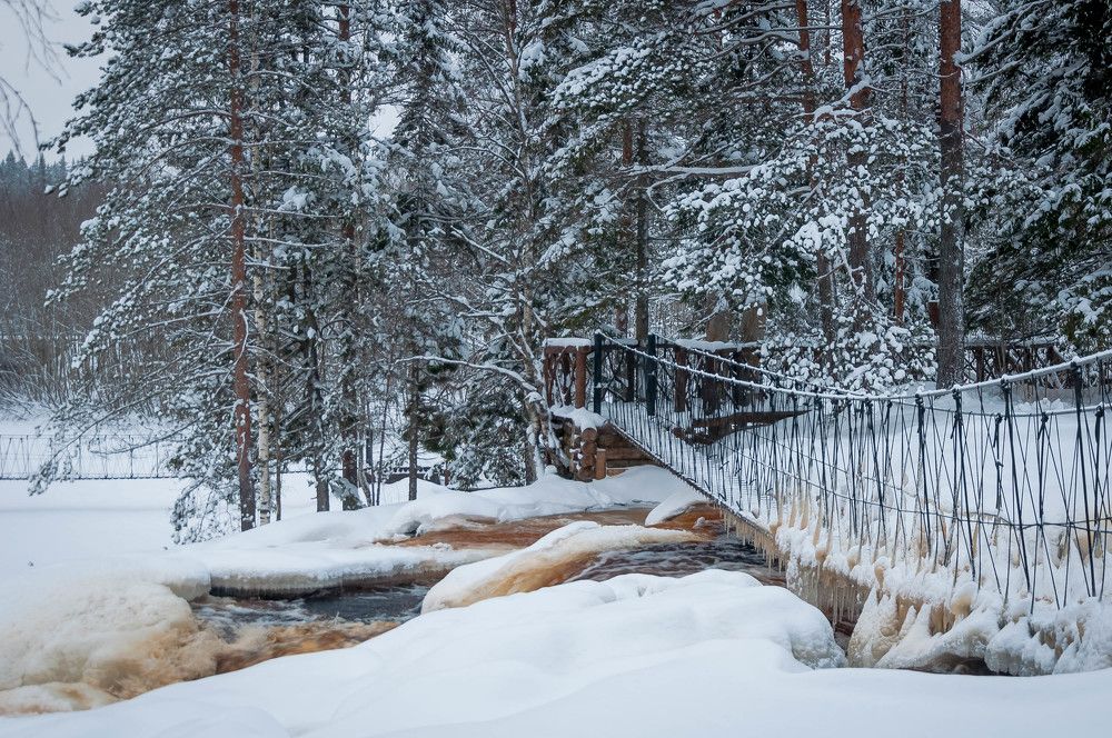 Photograph by Лариса Крышталь