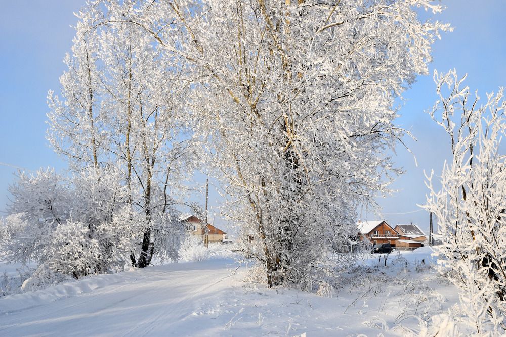 Photograph by Владимир Звягин