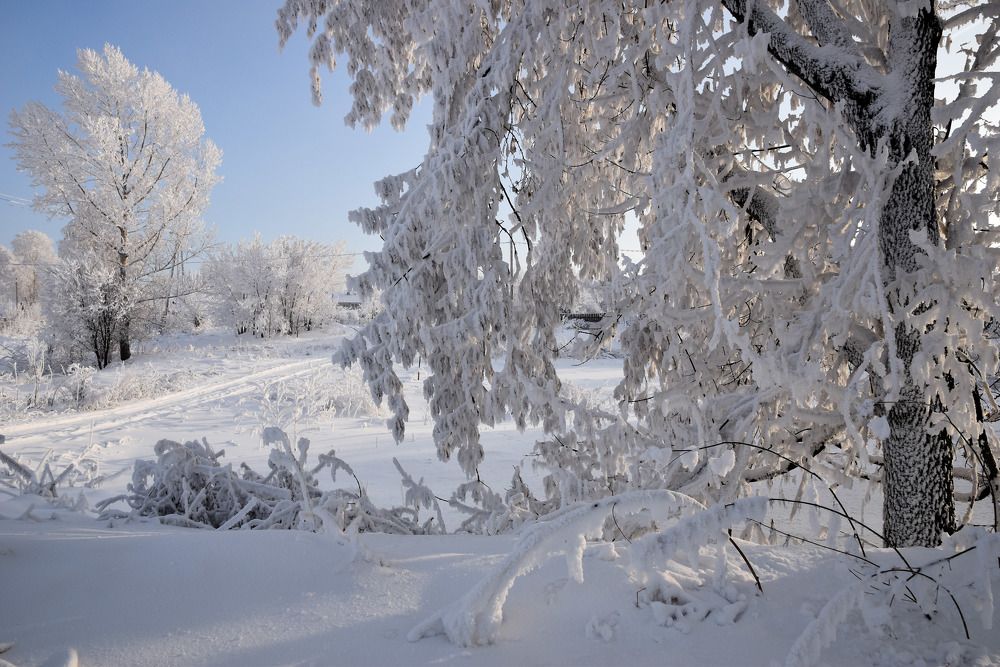 Photograph by Владимир Звягин