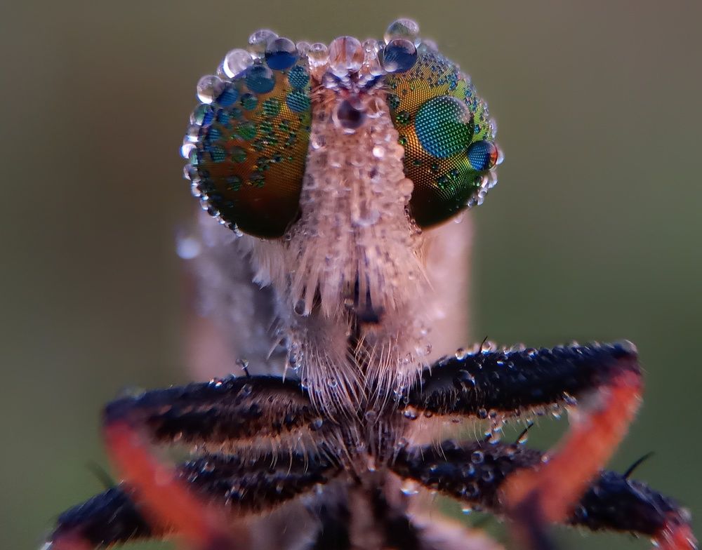 Photograph by Zaki Purnomo